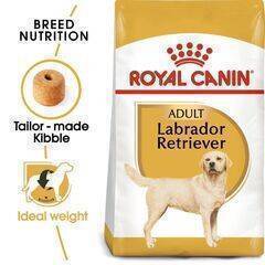 ROYAL CANIN - Dog Food BHN Labrador Adult 12K