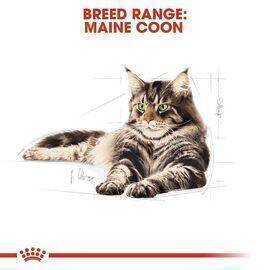 ROYAL CANIN - Cat Food Adult FBN Maine Coon 2KG