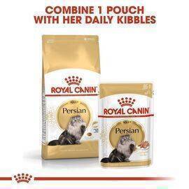 ROYAL CANIN - Cat Food Adult FBN Persian 30 4K