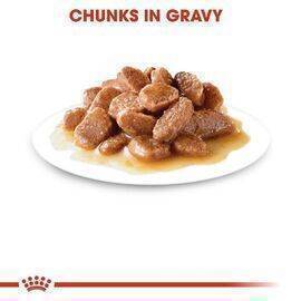 ROYAL CANIN - Cat Food Gravy Digest Sensitive 12X85G