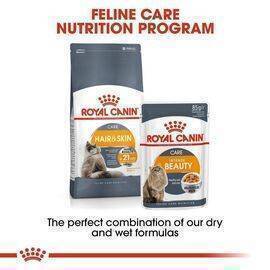 ROYAL CANIN - Cat Food Intense Beauty Jelly