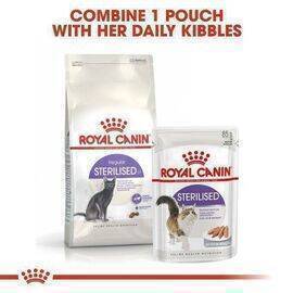 ROYAL CANIN - Cat Food FHN Sterilised 37 400G