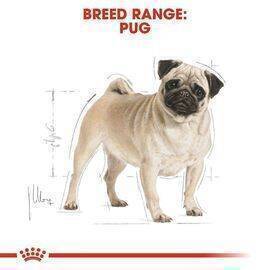 ROYAL CANIN - Dog Food Adult Pug BHN 1.5KG