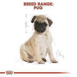 ROYAL CANIN - Dog Food Pug Puppy BHN 1,5K