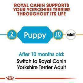 ROYAL CANIN - Dog Food Puppy BHN Yorkshire 1.5LKG S/JP 12C