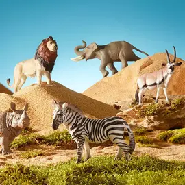 MIDEER - Toy Set Animal Simulation Paradise