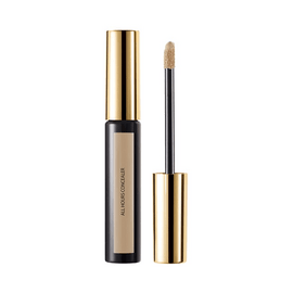 YVES SAINT LAURENT - All Hours Concealer03 CONCEALER