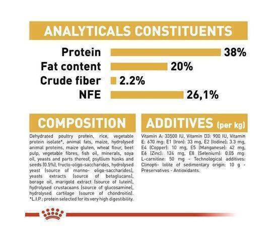 ROYAL CANIN - Cat Food British Kitten FBN 400G