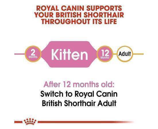 ROYAL CANIN - Cat Food British Kitten FBN 400G