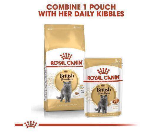 ROYAL CANIN - Cat Food Adult Pro FBN British Short Hair 13KG