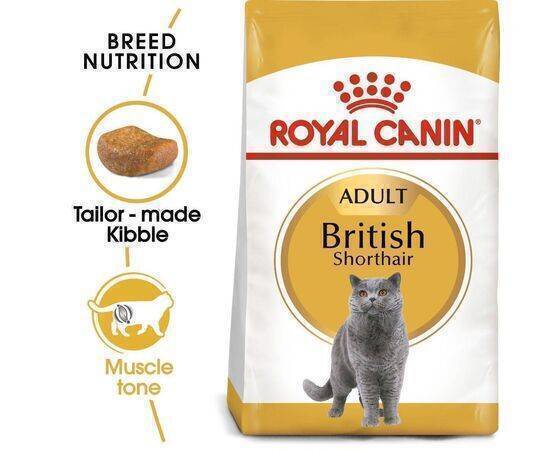 ROYAL CANIN - Cat Food Adult Pro FBN British Short Hair 13KG