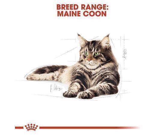 ROYAL CANIN - Cat Food Adult FBN Maine Coon 2KG