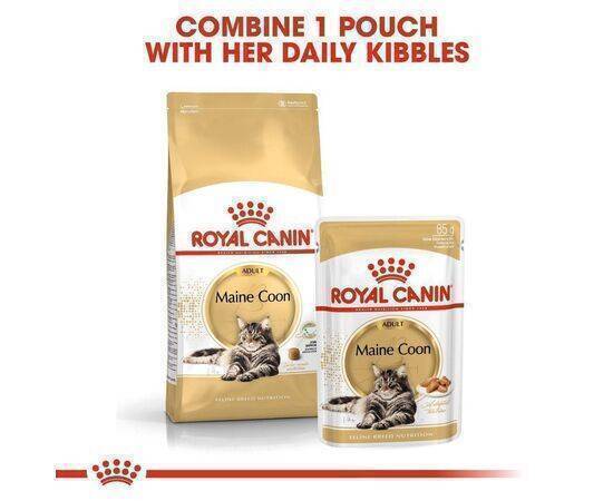 ROYAL CANIN - Cat Food Adult FBN Maine Coon 2KG