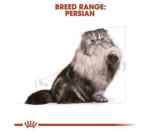 ROYAL CANIN - Cat Food Adult FBN Persian 30 10K