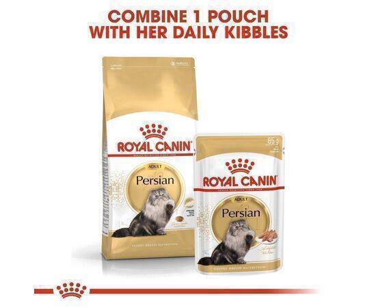 ROYAL CANIN - Cat Food Adult FBN Pro Persian 13KG INT 16D