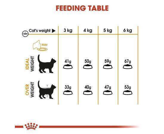 ROYAL CANIN - Cat Food FCN Hair & Skin 33 2K