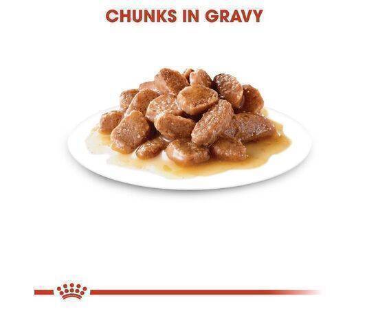 ROYAL CANIN - Cat Food Gravy Ultra Light 10