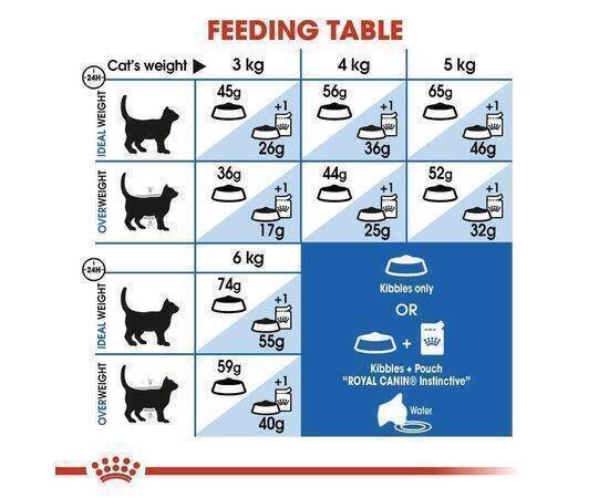 ROYAL CANIN - Cat Food FHN In Door 27 2KG