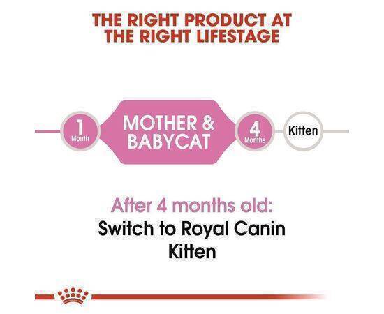 ROYAL CANIN - Cat Food FHN Pro Mother & Baby Cat 10KG