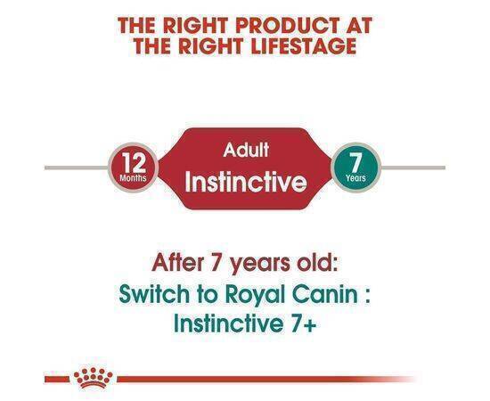 ROYAL CANIN - Cat Food Instinctive In Jelly Pouches 12X85G