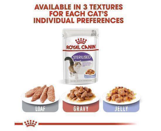 ROYAL CANIN - Cat Food Sterilized In Jelly 12X85G