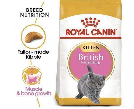 ROYAL CANIN - Cat Food British Kitten FBN 400G