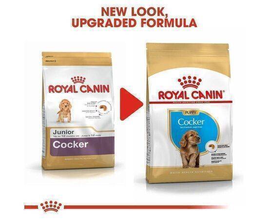 ROYAL CANIN - Dog Food BHN Cocker Puppy 3KG