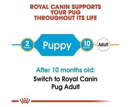 ROYAL CANIN - Dog Food Pug Puppy BHN 1,5K