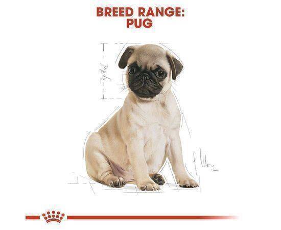 ROYAL CANIN - Dog Food Pug Puppy BHN 1,5K