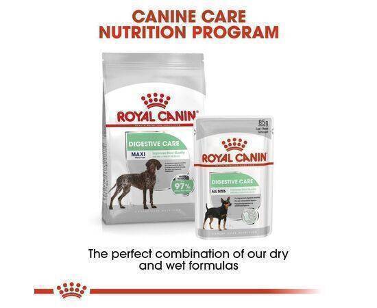 ROYAL CANIN - Dog Food Adult CCN Maxi Diges Care 12KG