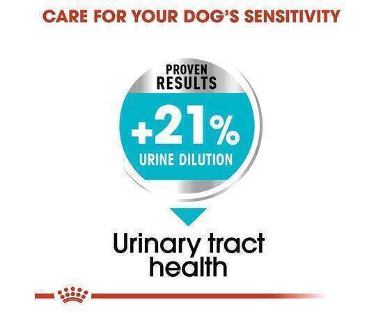 ROYAL CANIN - Dog Food CCN Mini Urin Care 3KG