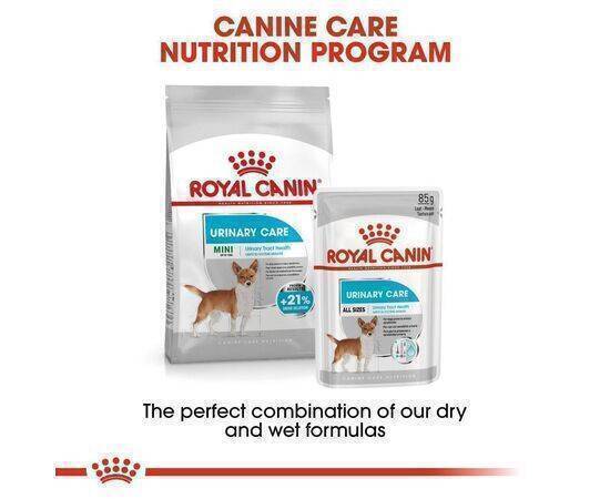 ROYAL CANIN - Dog Food CCN Mini Urin Care 3KG