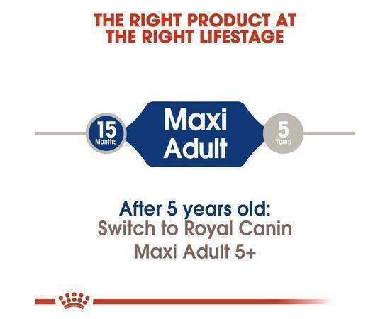 ROYAL CANIN - Dog Food MAXI Adult 10KG