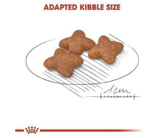 ROYAL CANIN - Dog Food Mini Adult 2K