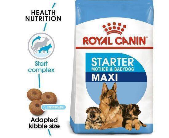 ROYAL CANIN - Dog Food SHN Maxi Starter 4K