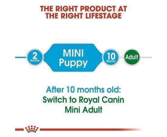 ROYAL CANIN - Dog Food SHN Mini Puppy 4KG