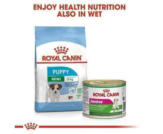 ROYAL CANIN - Dog Food SHN Mini Puppy 4KG