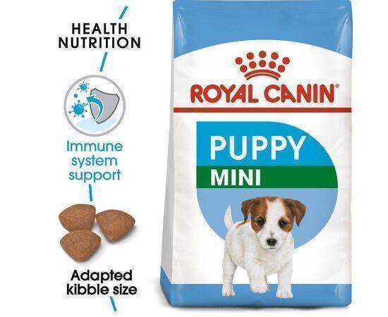 ROYAL CANIN - Dog Food SHN Mini Puppy 4KG