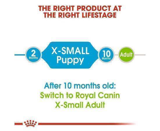 ROYAL CANIN - Dog Food Xsmall Puppy SHN 1,5KG