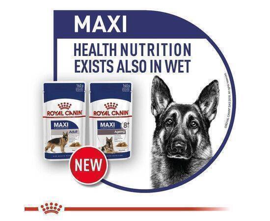 ROYAL CANIN - Dog Food SHN Maxi Adult 4KG