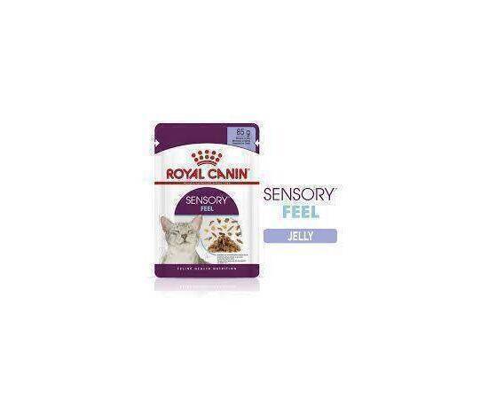 SENSORY - Cat Food JELLY 12*85G