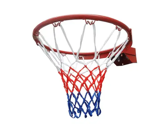 Basketball Hoop Ring with Net