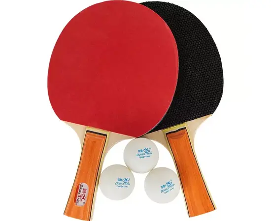 Double Fish - Racket Set for Table Tennis