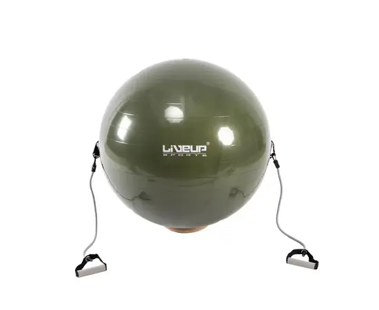 Gym Ball with Expander 65cm