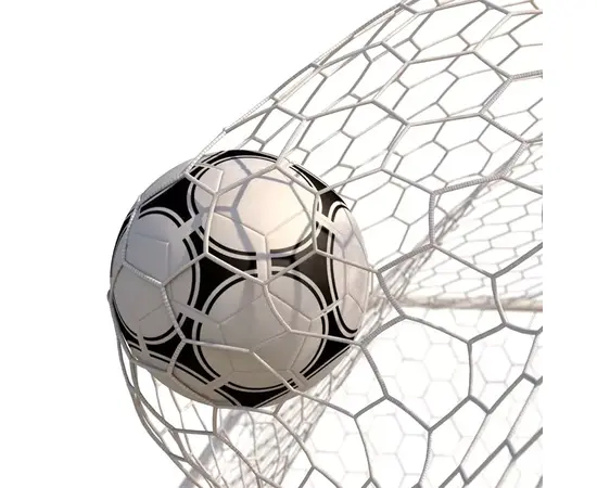 Football Goal Net (3*2M)